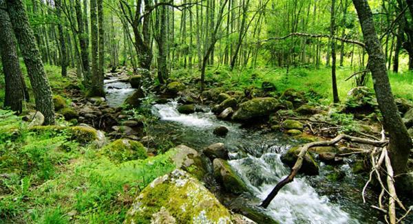 Ruralrut-El Tiemblo Wifi, Cabina De Hidromasaje, Aire Acondicionado Y A Pocos Metros De Zonas De Bano Naturales Buitenkant foto