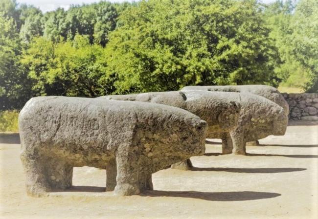 Ruralrut-El Tiemblo Wifi, Cabina De Hidromasaje, Aire Acondicionado Y A Pocos Metros De Zonas De Bano Naturales Buitenkant foto