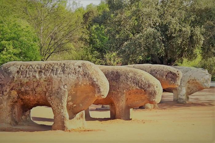 Ruralrut-El Tiemblo Wifi, Cabina De Hidromasaje, Aire Acondicionado Y A Pocos Metros De Zonas De Bano Naturales Buitenkant foto